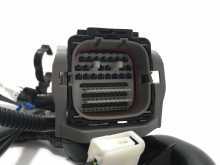 Harness engine (LHD) Impreza STI 2008+/N14 - 24020AD901