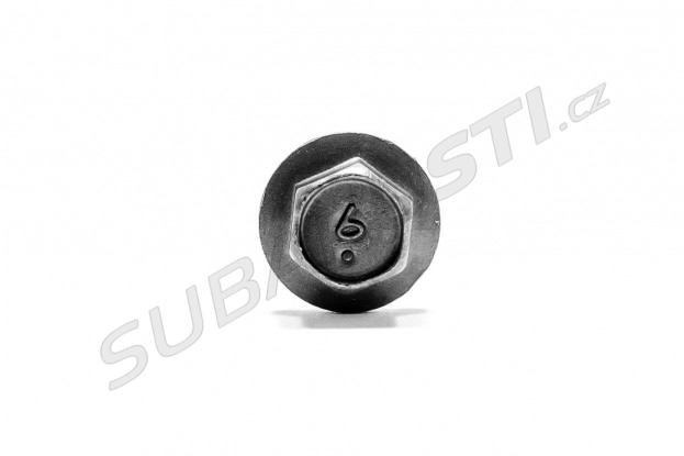 Bolt camshaft cap Impreza (GT/WRX/STI), Forester, Legacy/Outback - 10993AA000