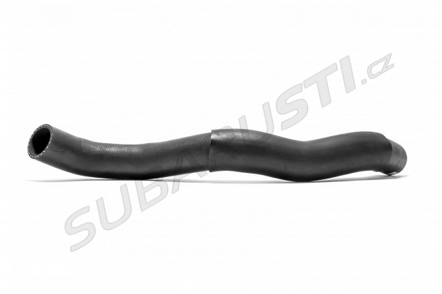 Hose, radiator lower EVO 9 - 1370A098