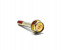 Bolt, timing belt pulley Impreza GT/WRX/STI - 800708460